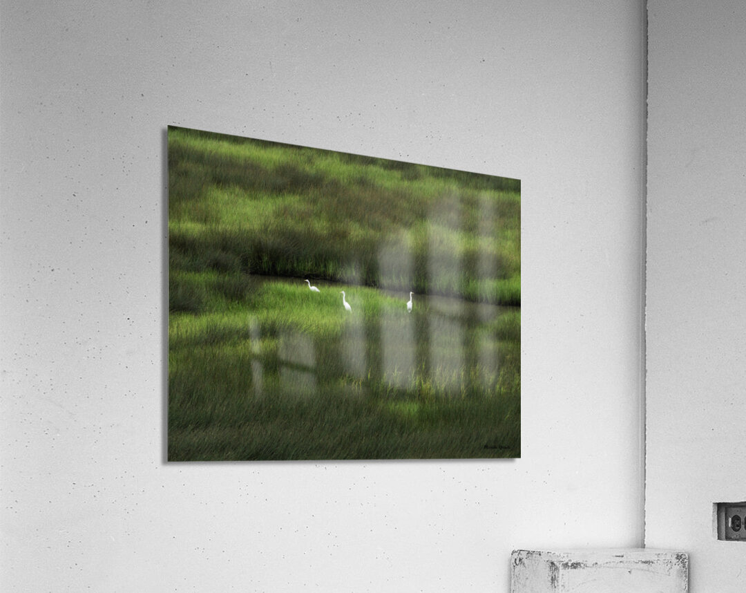 Three Is A Crowd Acrylic Print