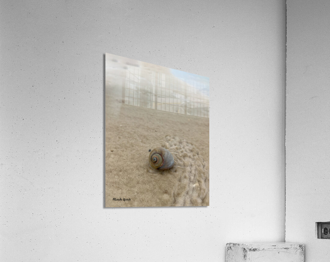 Making My Way Home Acrylic Print