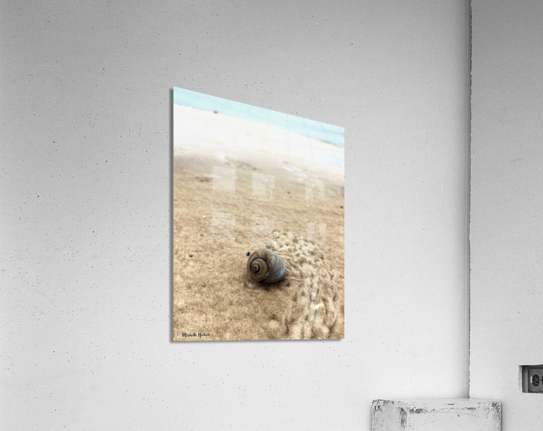 Making My Way To The Water Acrylic Print