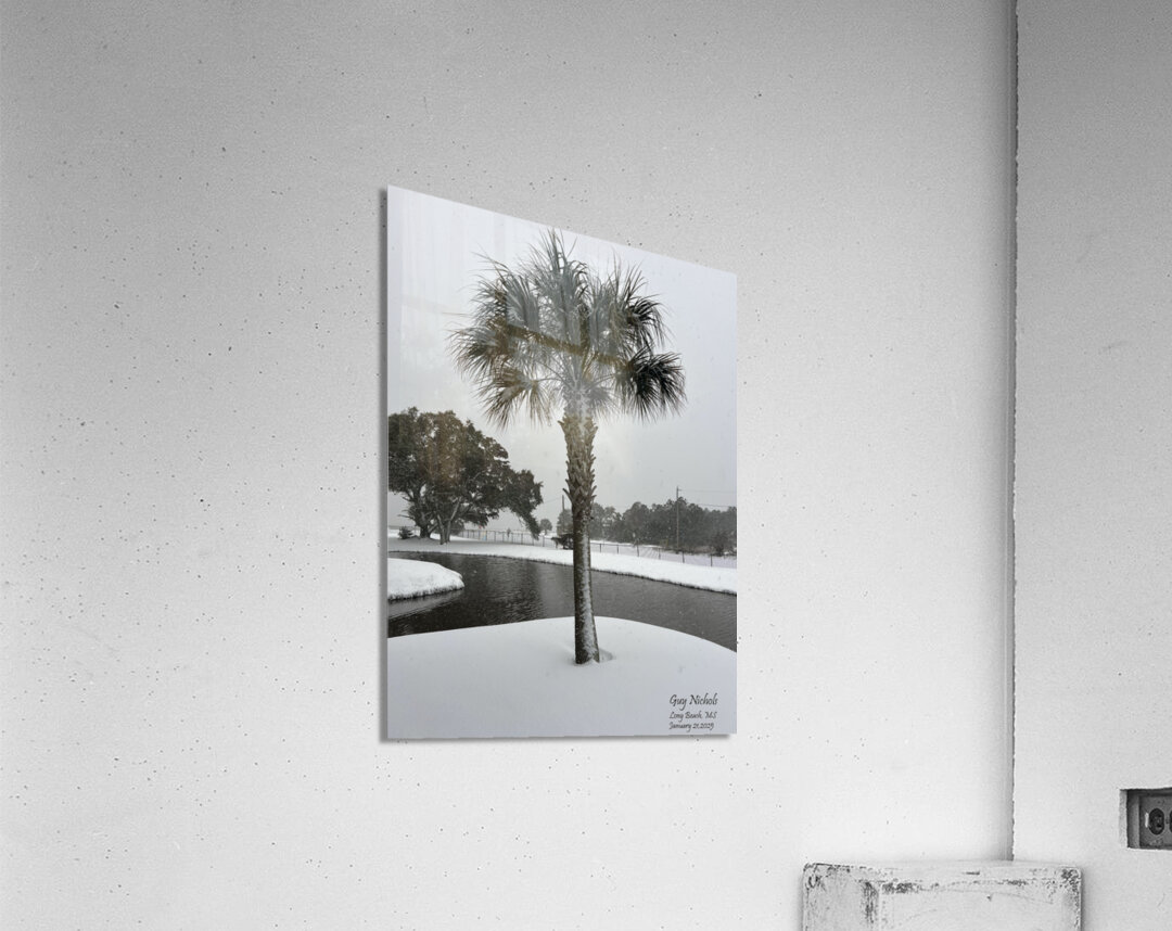 Guy s Snowy Palm Tree Acrylic Print
