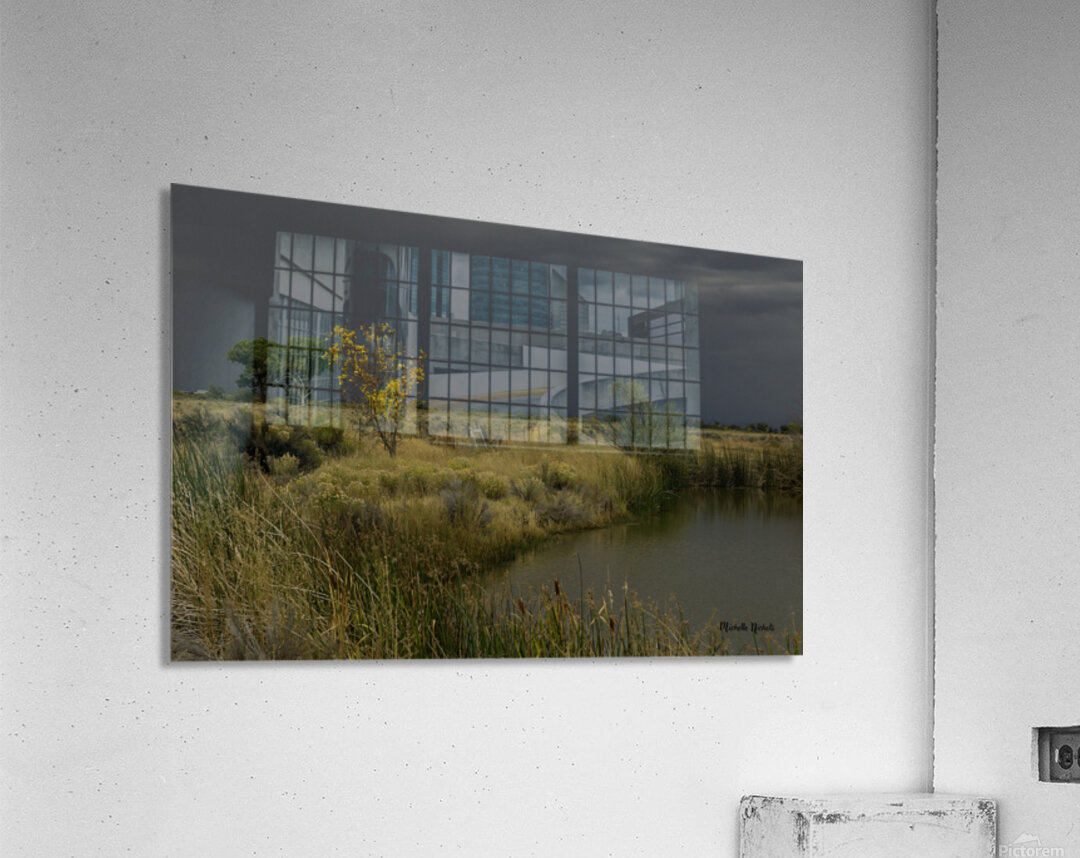 Stormy Field Acrylic Print