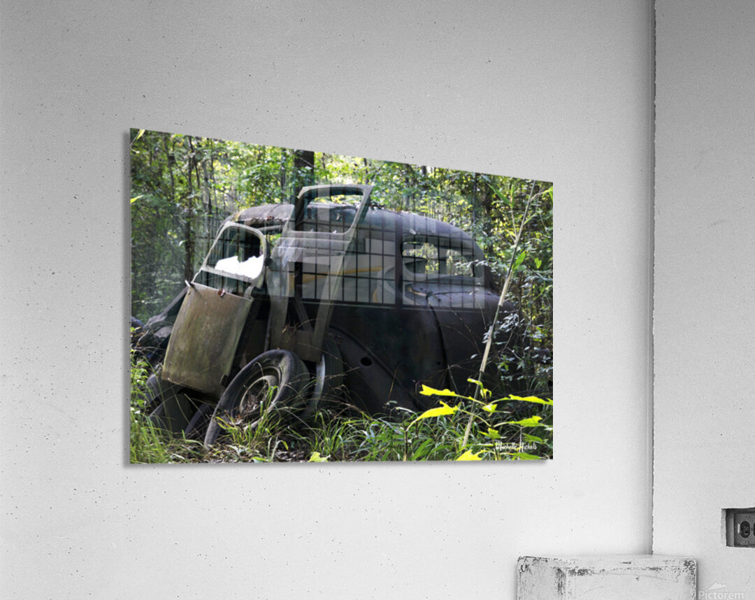 Jane and Dan s Treasure Acrylic Print