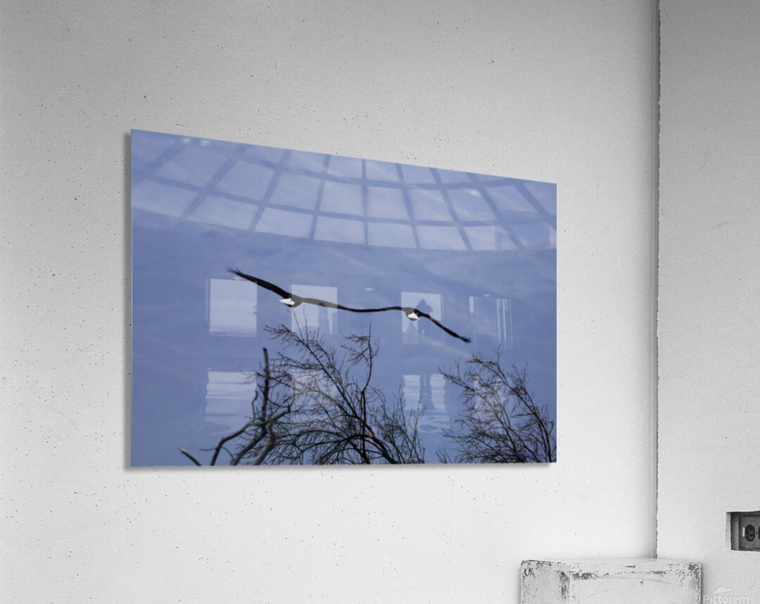 Lovers In Flight Acrylic Print