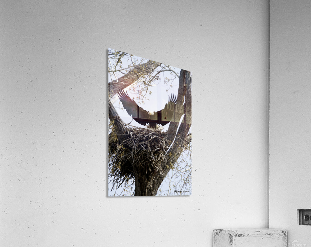 Coming Home Acrylic Print