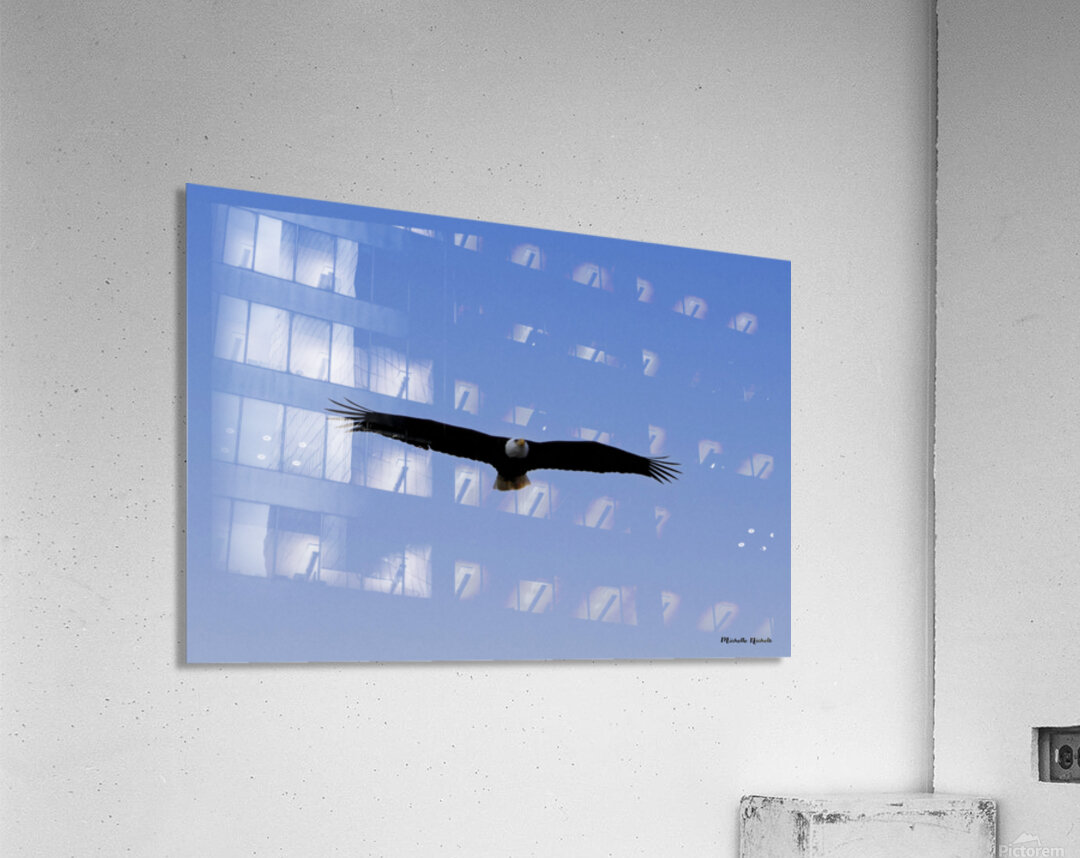 Soaring Acrylic Print