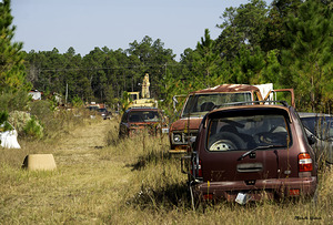 A Walk In The Park by Michelle Nichols