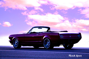 Just Dreamin by Michelle Nichols