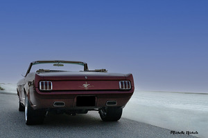 Thelma 2.1 by Michelle Nichols