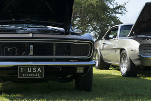 Car Show Camaros