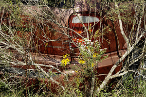 A Beautiful Bouquet by Michelle Nichols