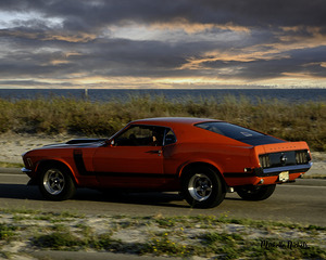 Red Mustang w Black Stripe Rear View by Michelle Nichols