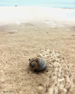 Making My Way To The Water