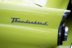 Yellow Thunderbird by Michelle Nichols