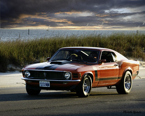 Red Mustang w Black Stripe by Michelle Nichols
