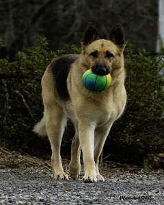 Lara Foster by Michelle Nichols