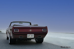 Thelma 2 by Michelle Nichols