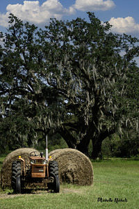 Tractor By The Hay by Michelle Nichols