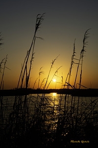 Sunset on the Port Sulphur Marsh by Michelle Nichols
