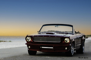 Thelma On The Beach by Michelle Nichols