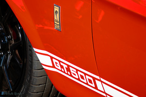 GT 500 by Michelle Nichols