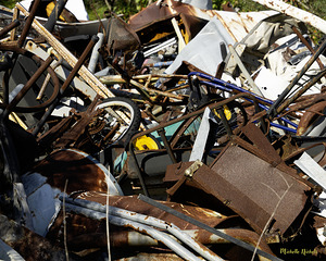 Little Yellow Tires by Michelle Nichols