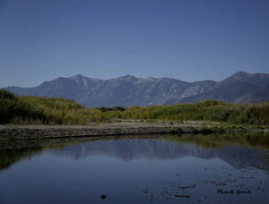 Carson River Bend by Michelle Nichols