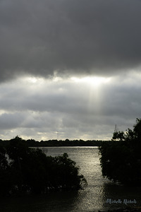 MS River Sun Peeping Through by Michelle Nichols