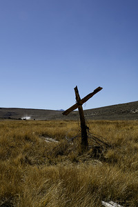 Old Fence Cross Section by Michelle Nichols