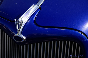 V8 Emblem by Michelle Nichols