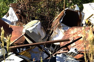 Junkyard Gold by Michelle Nichols