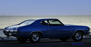 Blue Chevelle by Michelle Nichols