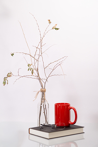 Wabi Sabi by Michelle Nichols