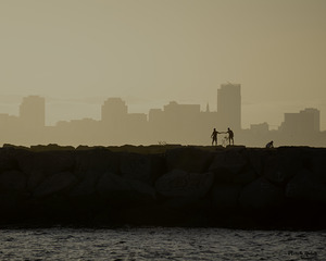 The Levee in Long Beach CA by Michelle Nichols