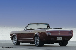 Thelma by Michelle Nichols