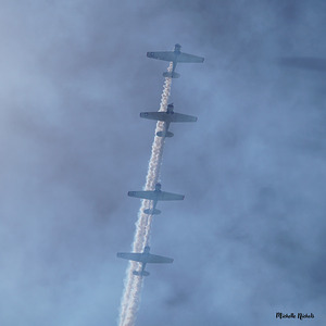 CA Planes 2 1sq by Michelle Nichols