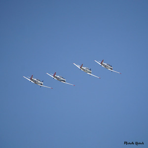 CA Planes 3 1sq by Michelle Nichols