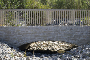 Dry Creek Bridge by Michelle Nichols