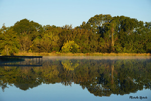 Early Pond Reflection by Michelle Nichols