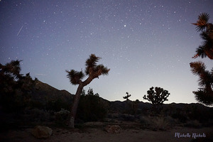 Joshua Tree National Park