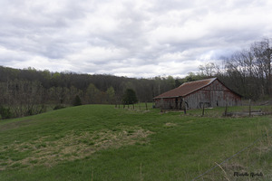 Lena Ln Barn