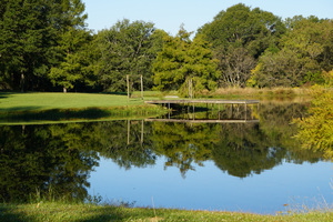 Pond Reflections by Michelle Nichols