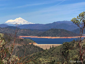 Shasta Lake