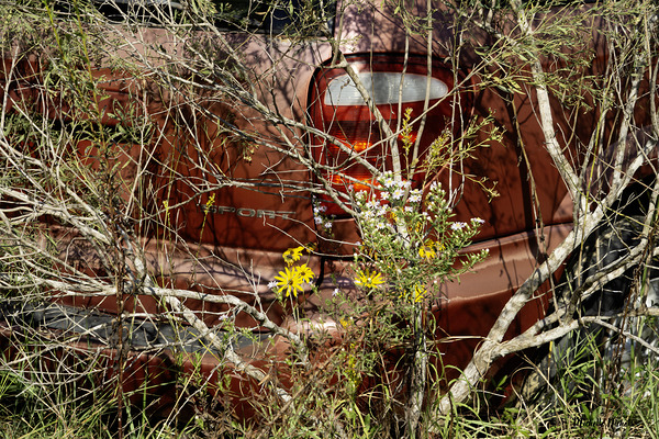 A Beautiful Bouquet Print