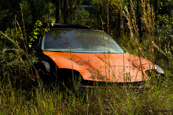 Where Is My Car Print