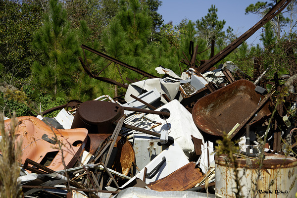 Junk Yard Gold Print