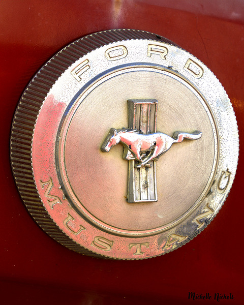 Mustang Emblem Print