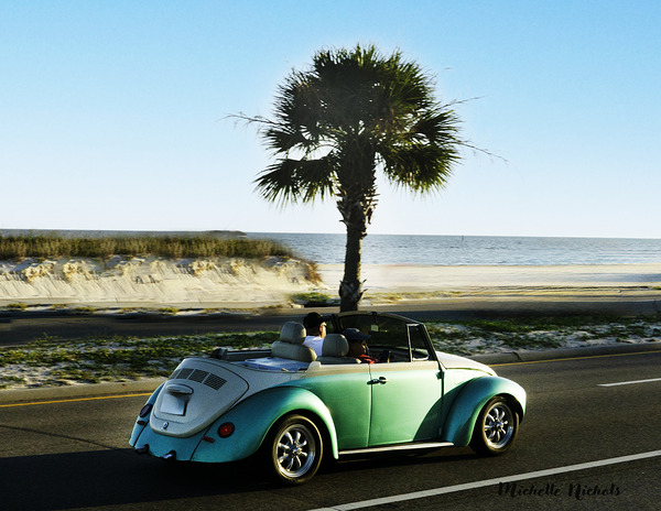 Cruisin  Beetle Print
