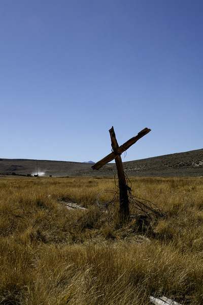 Old Fence Cross Section Print