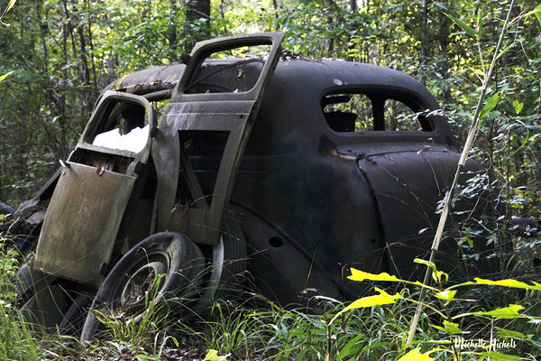 Jane and Dan s Treasure Print