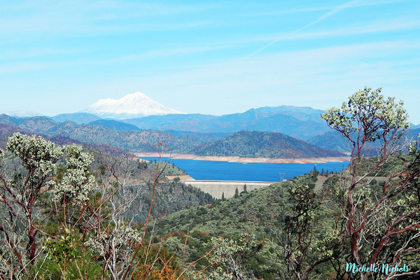 Lake Shasta Print
